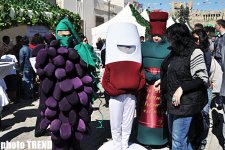 Фестиваль сбора винограда в  древней части Баку (фотосессия)