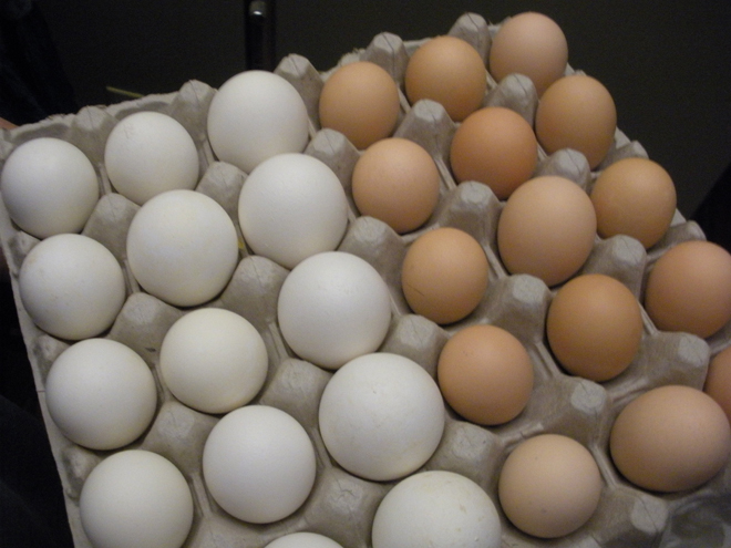 Egg prices in Israel fall 1.2%