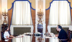First Lady of Azerbaijan conducts several meetings (PHOTO)