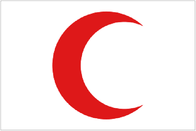 Красный Крест Германии и Красный Полумесяц Турции будут сотрудничать в поддержку Сирийских граждан