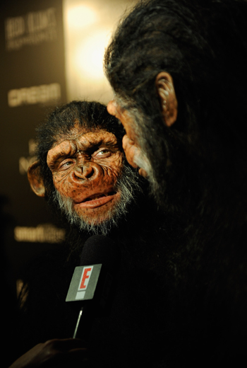 Хайди Клум превратилась в обезьяну (фотосессия)