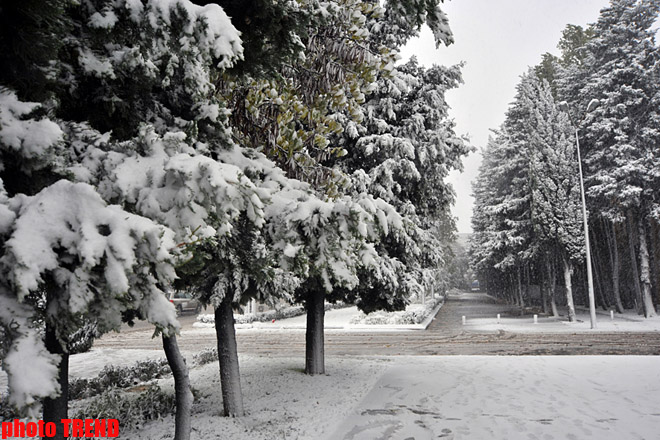 Снежная погода в Азербайджане сохранится