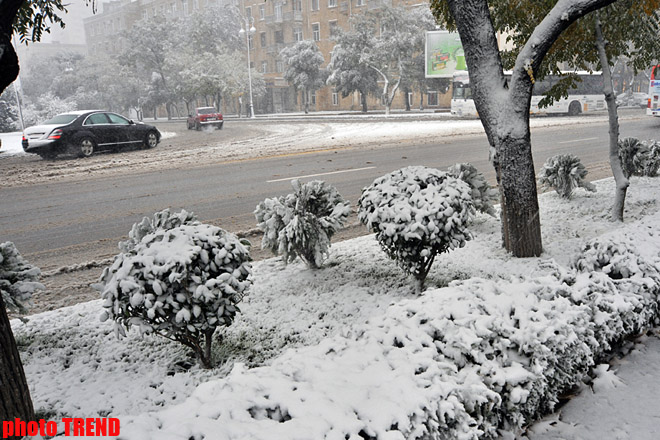 В Баку повторилась самая низкая с 1937 года температура для 3 февраля