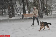 В Баку пошел первый снег (ФОТО)