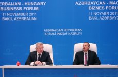Prezident İlham Əliyev: Azərbaycanın iqtisadi inkişafı planlı şəkildə həyata keçirilir (FOTO)