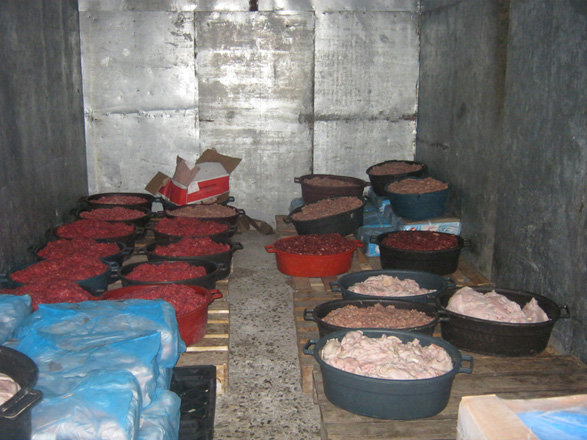 Bakıda iki müəssisədə kolbasa məmulatlarının istehsalı dayandırılıb (FOTO)