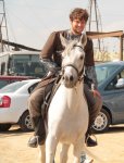Арабский скакун Эльдара Гасымова - знаменитые кони Македонского, Калигулы, Жукова… (фотосессия)