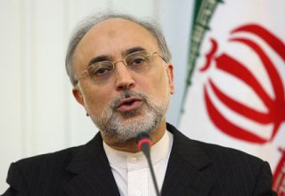 Iran taking first steps to design 20% modern nuclear fuel: nuclear chief