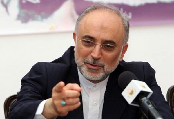 Iran’s Salehi says no intention to run for president