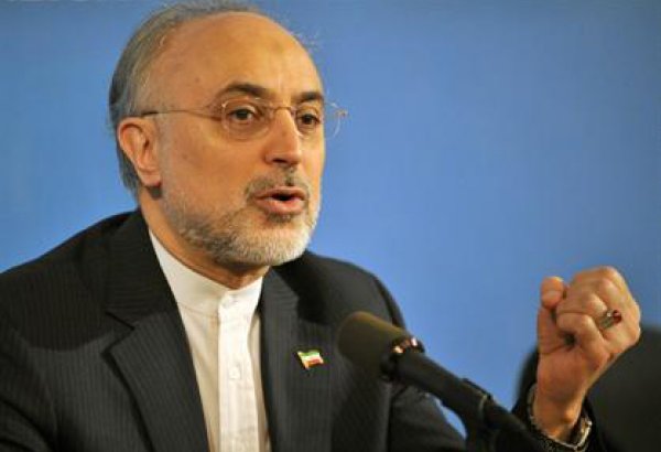 Ирану будет выгодно вывозить отработанное ядерное топливо из страны - Салехи