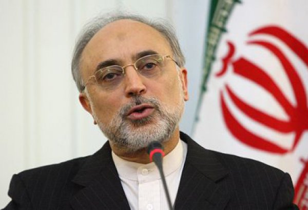 AEOI head says Iran needs 20 new nuclear plants
