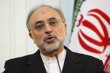 Salehi stresses Iran's support for Palestinian cause