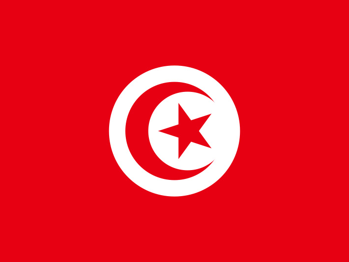 Парламент Туниса выразил доверие новому правительству Мехди Джомаа