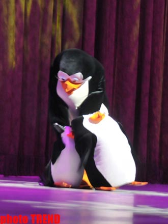 В Баку пингвины похитили Снегурочку (фотосессия) - Gallery Image