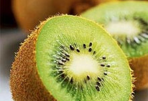 Value of kiwi exports from Iran's Mazandaran province revealed