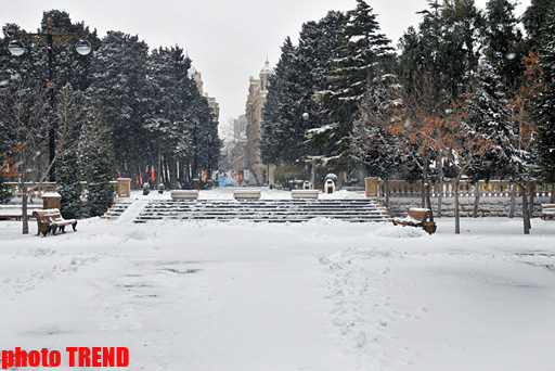 Все проспекты и дороги Баку замерзли