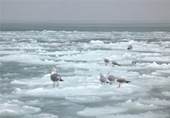 МЧС Азербайджана призывает к осторожности на замерзших водоемах