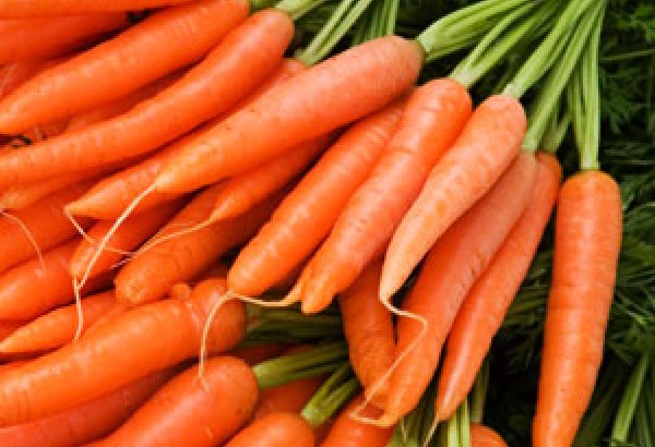 Iran's carrot exports down