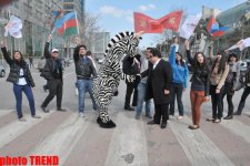 Фан-клуб "Евровидения" и Мурад Дадашов провели в Баку оригинальную акцию "Мы видим Зебру" (фотосессия)