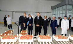 Azerbaijani President inaugurates Gazakh Canning Factory (PHOTO)