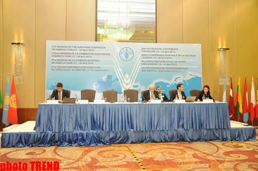 Minister: Azerbaijan becomes donor country to help world food poverty (PHOTO) - Gallery Image