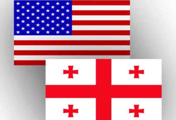 Georgia, U.S. discuss strategic partnership issues