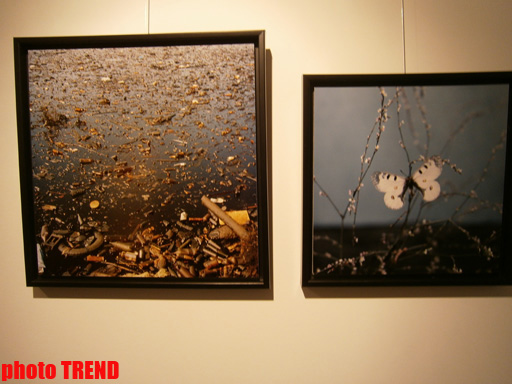 "Жидкая земля" Рены Эфенди - от социальной фронтальности Апшерона до бабочек (фотосессия)