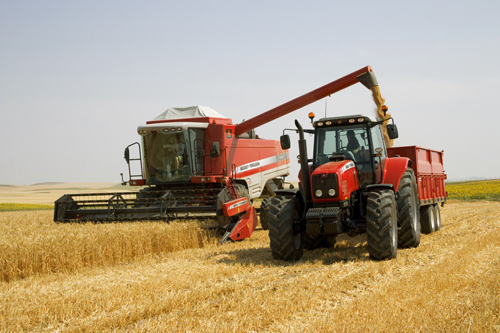 Валовый сбор зерновых культур в Казахстане ожидается на уровне 14 млн. тонн