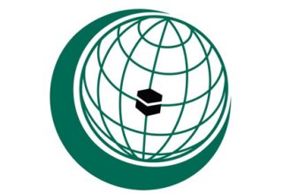 OIC calls to focus international efforts on resolving Syrian crisis