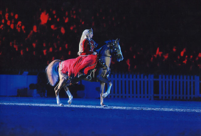 Azerbaijani Karabakh horses perform at jubilee of British Queen's reign (PHOTO) - Gallery Image