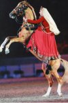 Azerbaijani Karabakh horses perform at jubilee of British Queen's reign (PHOTO) - Gallery Thumbnail