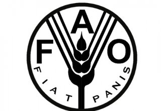 FAO ready to take part in Iran’s Urmia Lake restore projects
