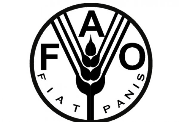 FAO prepares for opening of coordination office in Baku