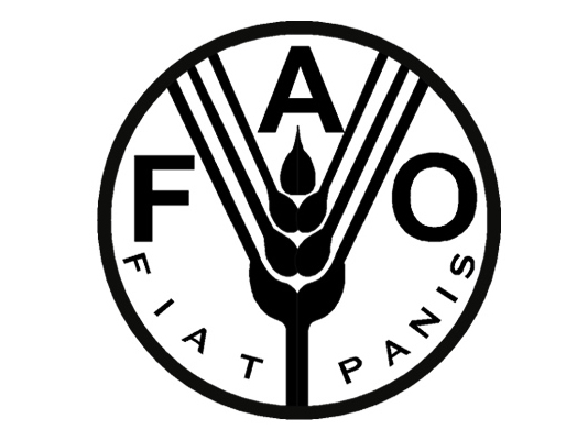 Назначен новый представитель FAO в Азербайджане