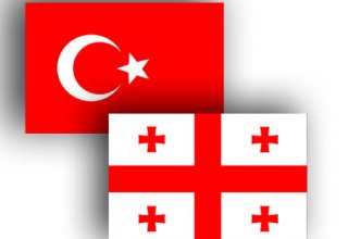 Georgia, Turkey discuss joint management of customs checkpoints