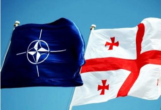 НАТО и Грузия обсудили вопросы евроинтеграции