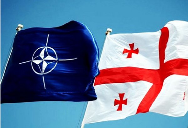 Georgia discusses prospects of joining NATO alliance