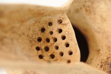 В Азербайджане обнаружена уникальная красочная фаянсовая  посуда I-II века н.э. (фотосессия)