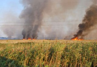 Армяне вновь совершают поджоги на оккупированных территориях Азербайджана