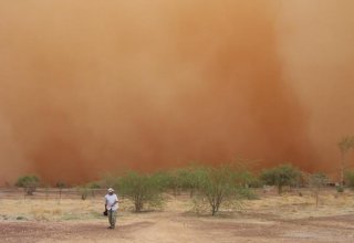 На ОАЭ обрушилась песчаная буря, видимость составляет менее 500 метров