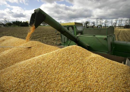 Азербайджан увеличил импорт зерновых и бобовых из Турции