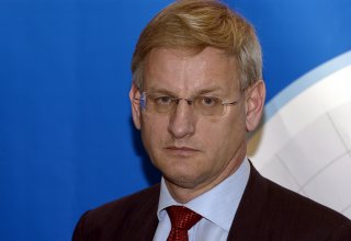 Swedish FM: Some questions on electoral justice for Georgia