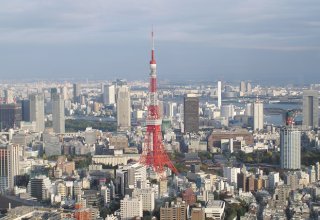 Япония готова участвовать в энергетических проектах ГУАМ - МИД Грузии