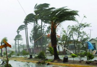 4 killed, over 10,000 affected by strong winds, rains in Sri Lanka
