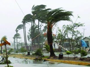 Во Вьетнаме жертвами тайфуна "Калмэджи" стали 10 человек