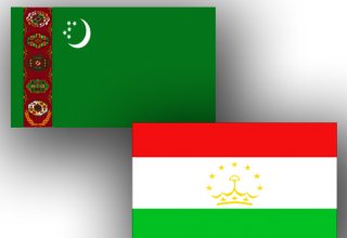 Turkmenistan, Tajikistan discuss issues of efficient water use in region