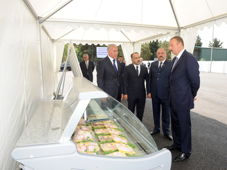 President Ilham Aliyev visits Jalilabad Broiler`s newly-reconstructed poultry meat production facility (PHOTO)