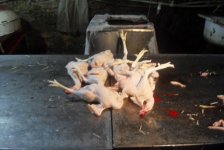 В двух объектах в Баку выявлены грубые нарушения при забое домашней птицы (ФОТО)