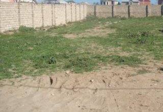 В Узбекистане сократили срок права собственности на неиспользуемые земельные участки