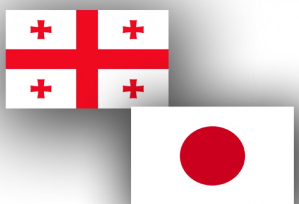 Грузия и Япония обсудили возможность расширения торгового сотрудничества